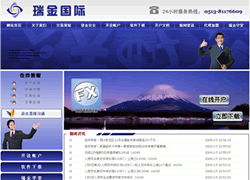 南通銳意網(wǎng)絡科技 信息技術(shù)咨詢服務的杰出案例