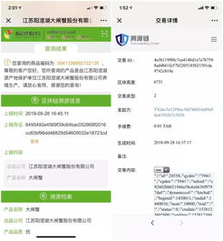 區(qū)塊鏈應(yīng)用遍地開花 30大場景落地引領(lǐng)商用時(shí)代加速到來