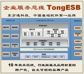 東方通tongesb 自主化企業(yè)服務(wù)總線，誠邀客戶、伙伴與渠道合作共贏